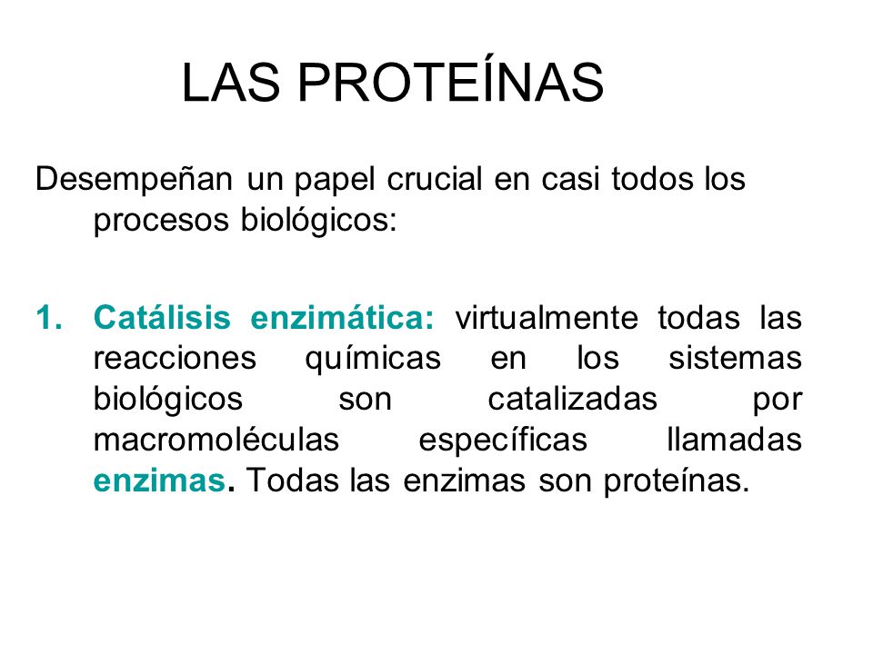LAS PROTEÍNAS Desempeñan un papel crucial en casi todos los procesos biológicos: