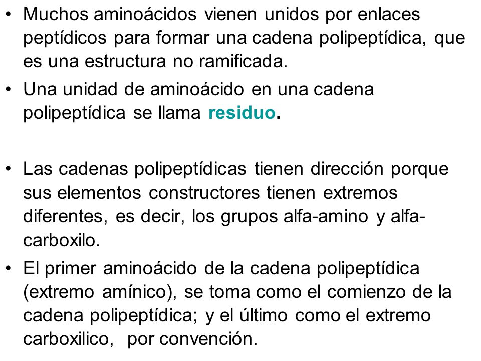 Muchos aminoácidos vienen unidos por enlaces peptídicos para formar una cadena polipeptídica, que es una estructura no ramificada.