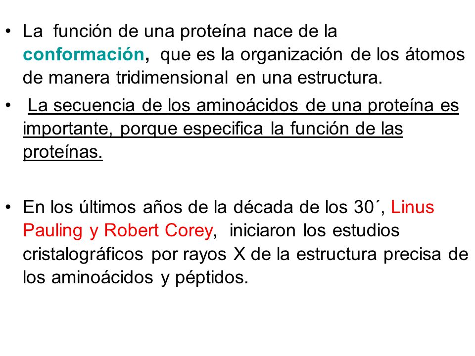 La función de una proteína nace de la conformación, que es la organización de los átomos de manera tridimensional en una estructura.