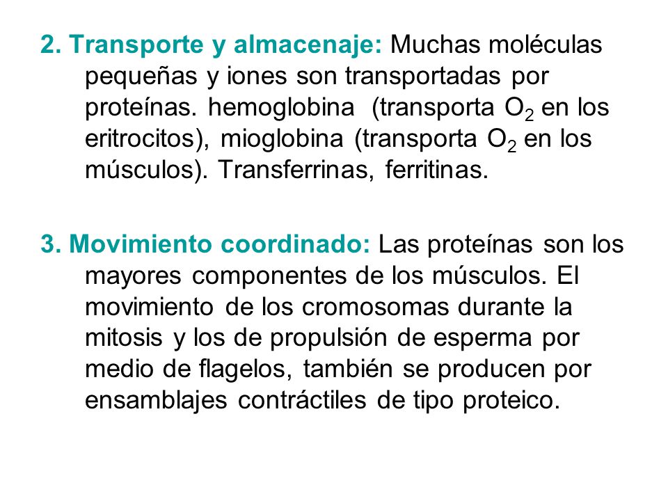 2. Transporte y almacenaje: Muchas moléculas pequeñas y iones son transportadas por proteínas. hemoglobina (transporta O2 en los eritrocitos), mioglobina (transporta O2 en los músculos). Transferrinas, ferritinas.