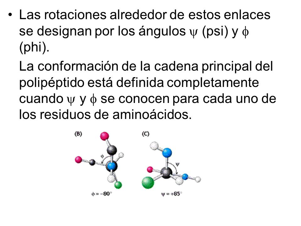 Las rotaciones alrededor de estos enlaces se designan por los ángulos  (psi) y  (phi).