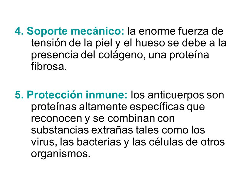 4. Soporte mecánico: la enorme fuerza de tensión de la piel y el hueso se debe a la presencia del colágeno, una proteína fibrosa.