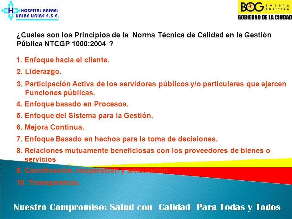 ¿Cuales son los Principios de la Norma Técnica de Calidad en la Gestión