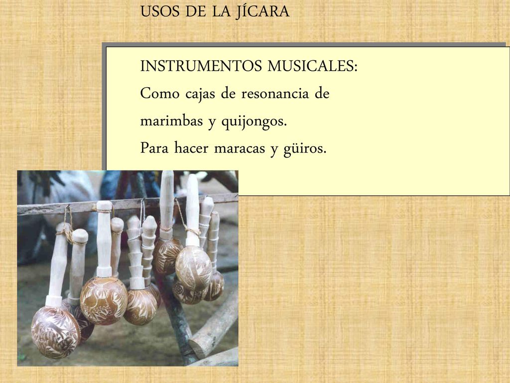 USOS DE LA JÍCARA INSTRUMENTOS MUSICALES: Como cajas de resonancia de.
