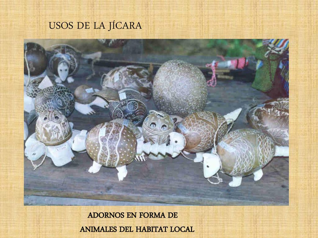 USOS DE LA JÍCARA ADORNOS EN FORMA DE ANIMALES DEL HABITAT LOCAL