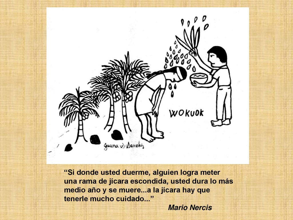 Si donde usted duerme, alguien logra meter una rama de jícara escondida, usted dura lo más medio año y se muere...a la jícara hay que tenerle mucho cuidado...
