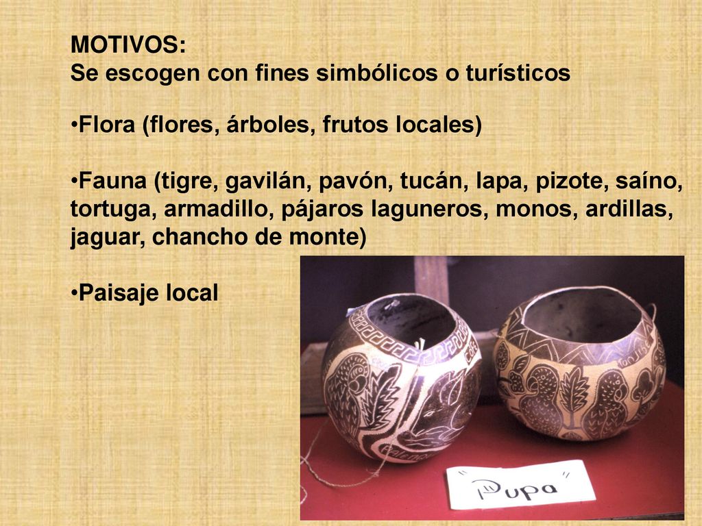 MOTIVOS: Se escogen con fines simbólicos o turísticos. Flora (flores, árboles, frutos locales)