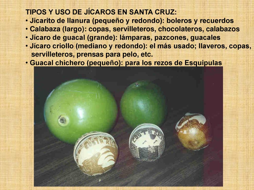 TIPOS Y USO DE JÍCAROS EN SANTA CRUZ: