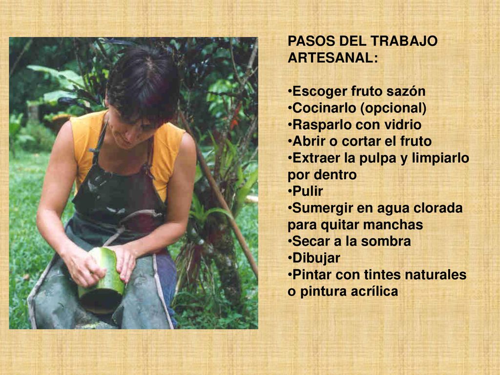 PASOS DEL TRABAJO ARTESANAL: Escoger fruto sazón. Cocinarlo (opcional) Rasparlo con vidrio. Abrir o cortar el fruto.