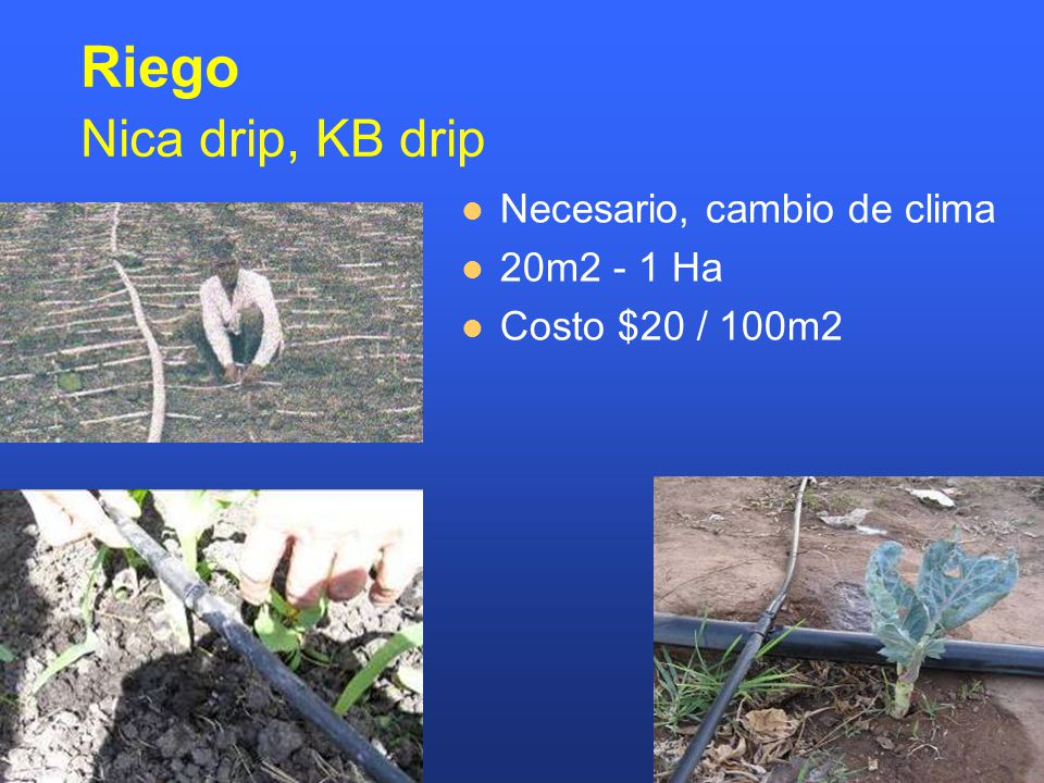 Riego Nica drip, KB drip Necesario, cambio de clima 20m2 - 1 Ha