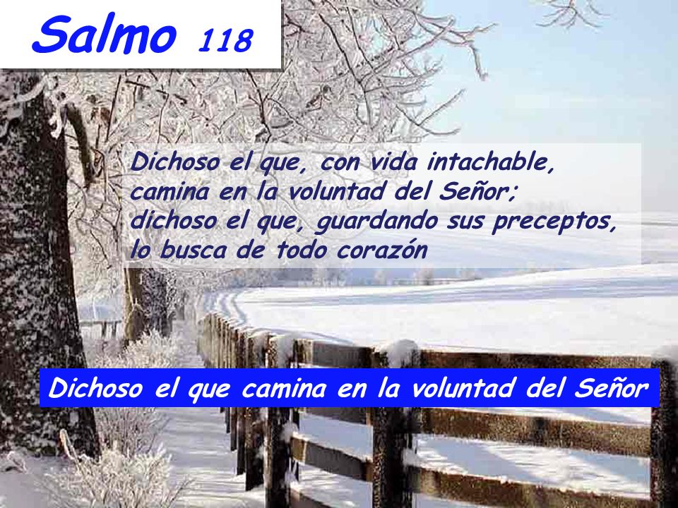 Salmo 118 Dichoso el que camina en la voluntad del Señor