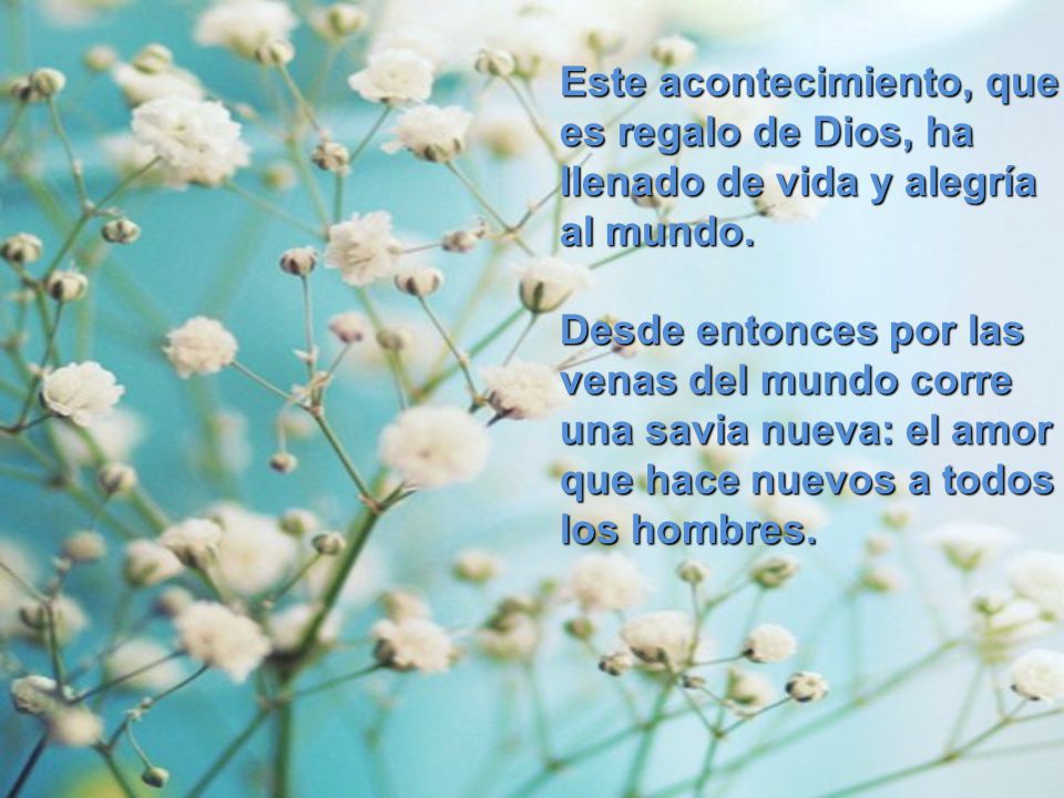 Este acontecimiento, que es regalo de Dios, ha llenado de vida y alegría al mundo.