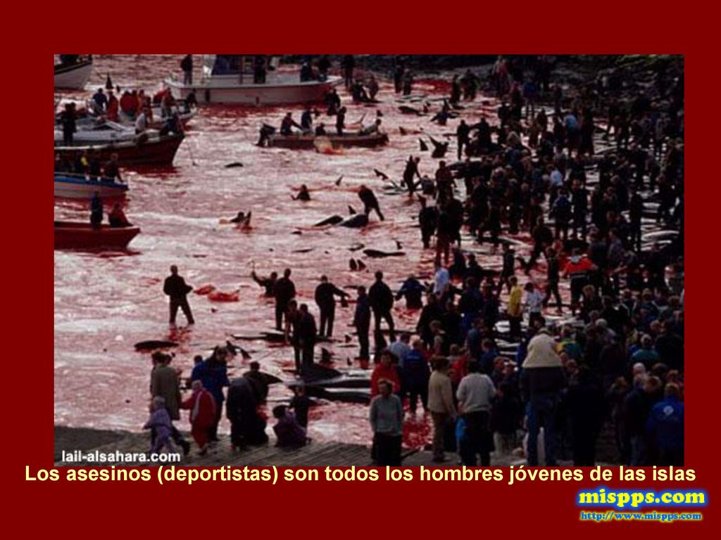 Los asesinos (deportistas) son todos los hombres jóvenes de las islas