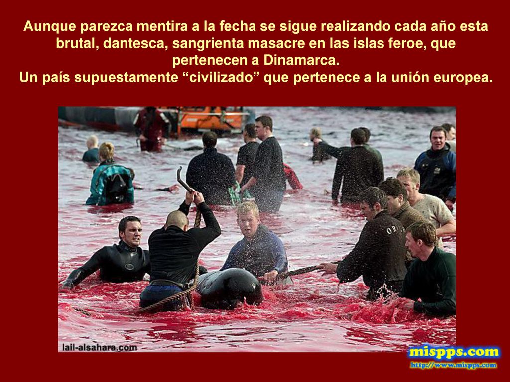 Un país supuestamente civilizado que pertenece a la unión europea.