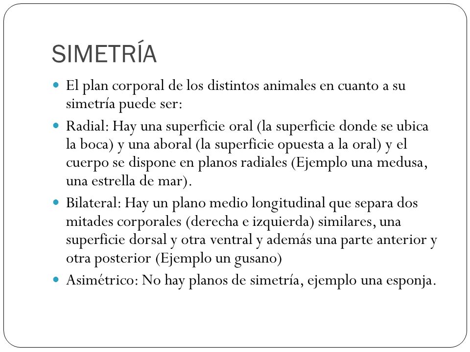 SIMETRÍA El plan corporal de los distintos animales en cuanto a su simetría puede ser: