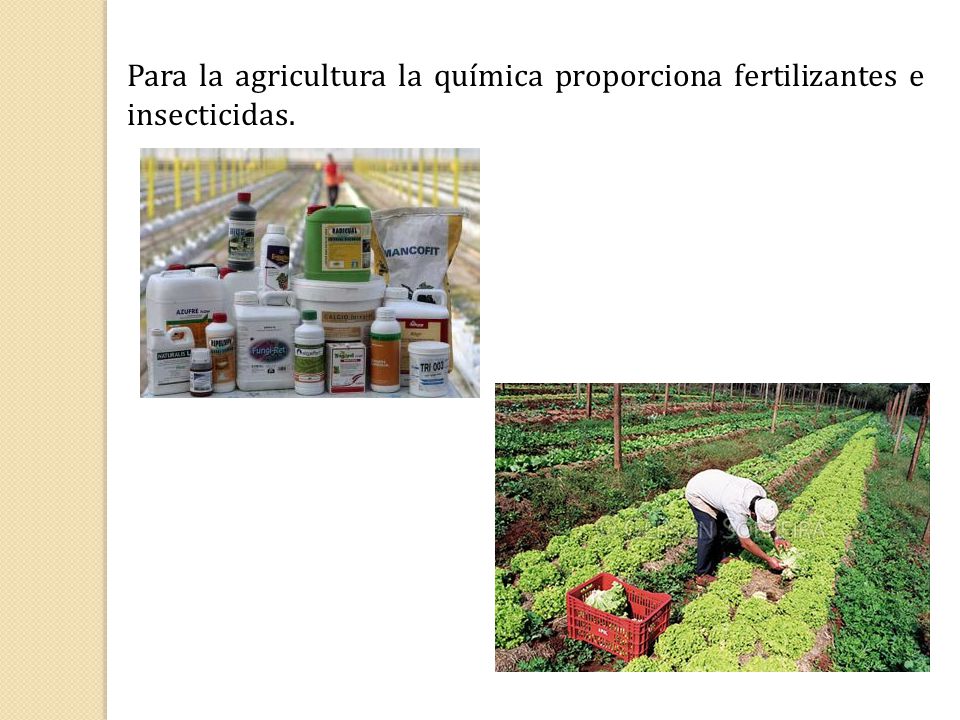 Para la agricultura la química proporciona fertilizantes e insecticidas.
