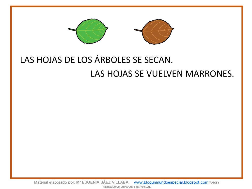 LAS HOJAS DE LOS ÁRBOLES SE SECAN. LAS HOJAS SE VUELVEN MARRONES.