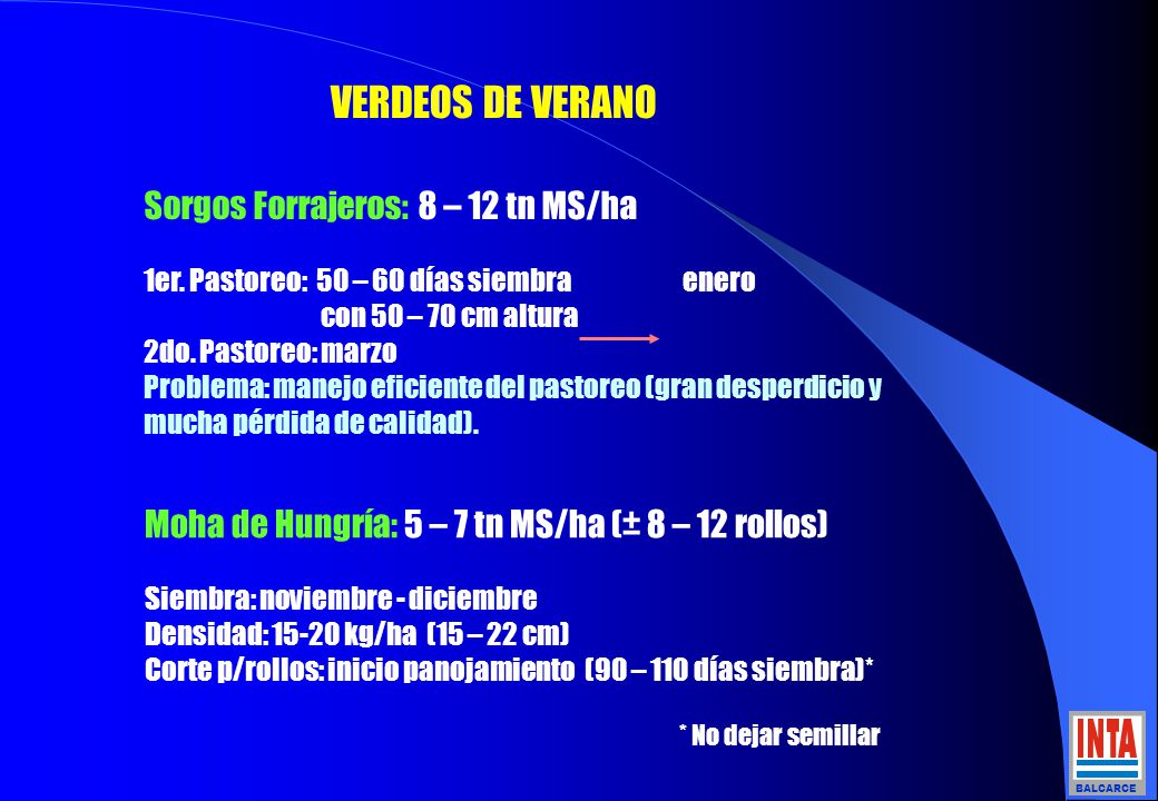 VERDEOS DE VERANO Sorgos Forrajeros: 8 – 12 tn MS/ha