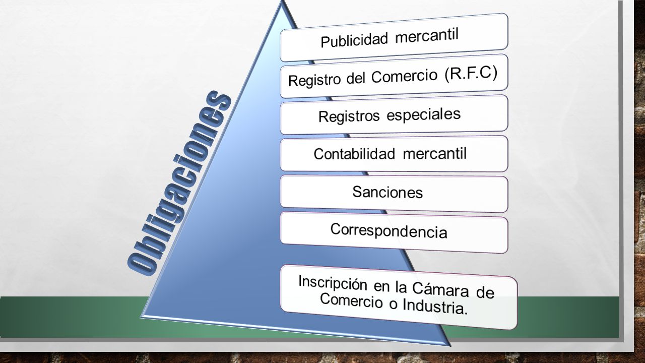 Obligaciones Publicidad mercantil Registro del Comercio (R.F.C)