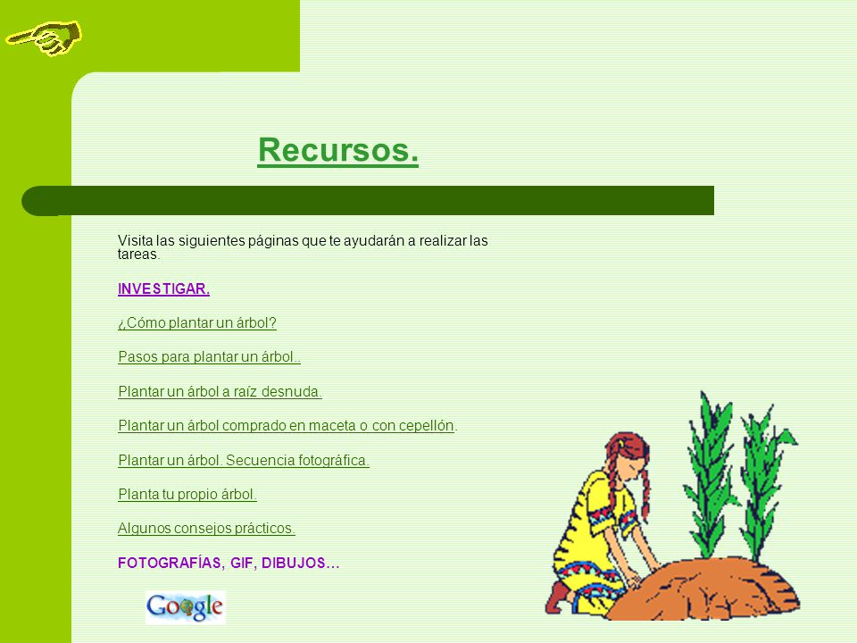 Pasos para plantar un árbol.. Plantar un árbol a raíz desnuda.