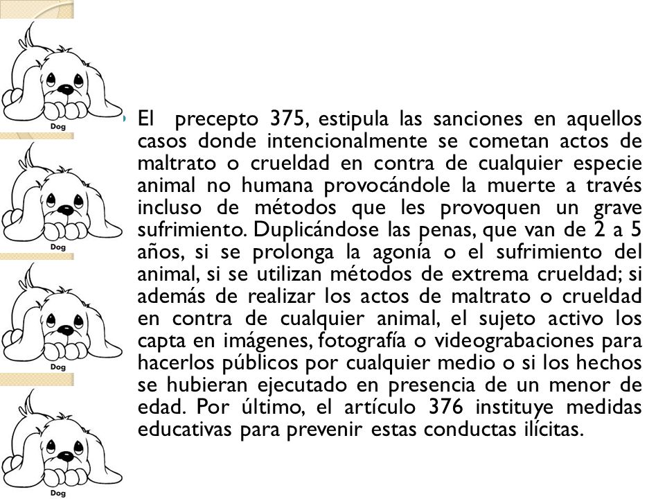 El precepto 375, estipula las sanciones en aquellos casos donde intencionalmente se cometan actos de maltrato o crueldad en contra de cualquier especie animal no humana provocándole la muerte a través incluso de métodos que les provoquen un grave sufrimiento.