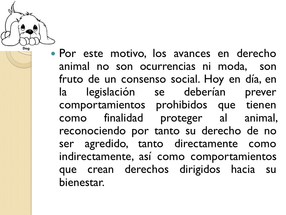 Por este motivo, los avances en derecho animal no son ocurrencias ni moda, son fruto de un consenso social.