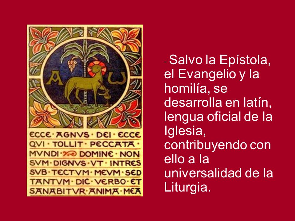 - Salvo la Epístola, el Evangelio y la homilía, se desarrolla en latín, lengua oficial de la Iglesia, contribuyendo con ello a la universalidad de la Liturgia.