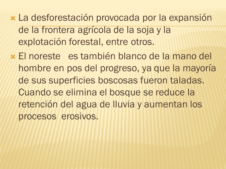 La desforestación provocada por la expansión de la frontera agrícola de la soja y la explotación forestal, entre otros.