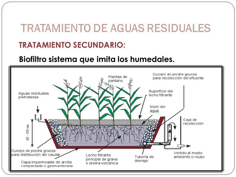 TRATAMIENTO DE AGUAS RESIDUALES