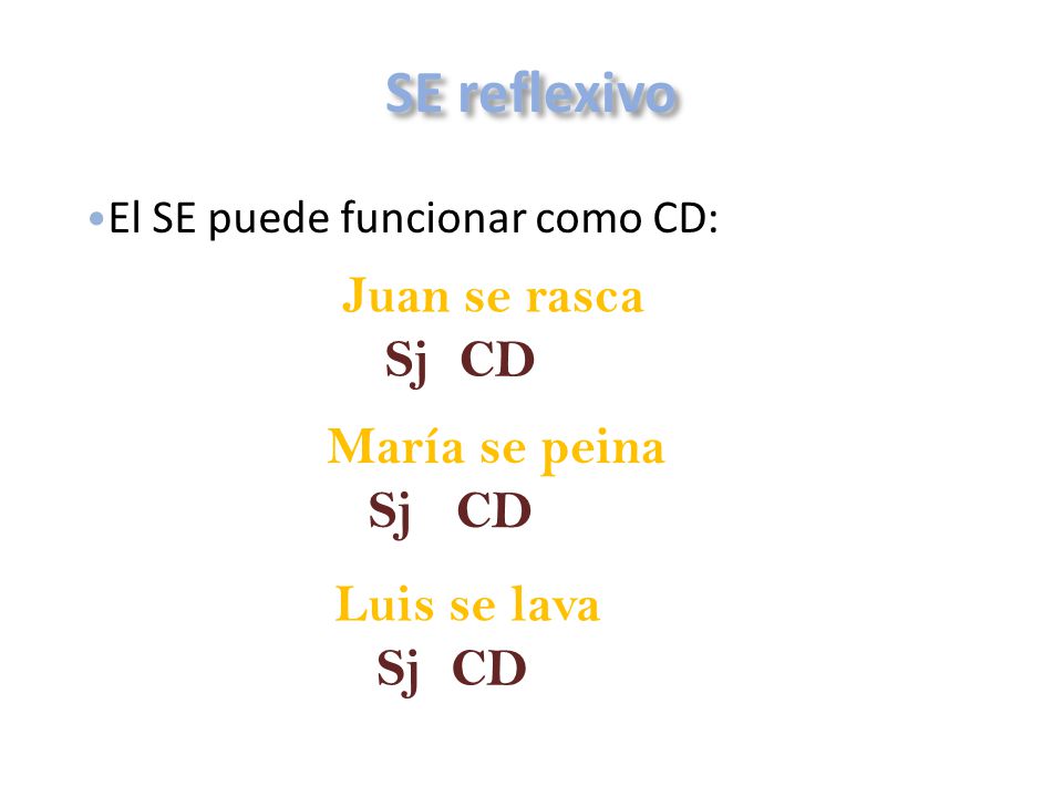 SE reflexivo Juan se rasca Sj CD María se peina Sj CD Luis se lava