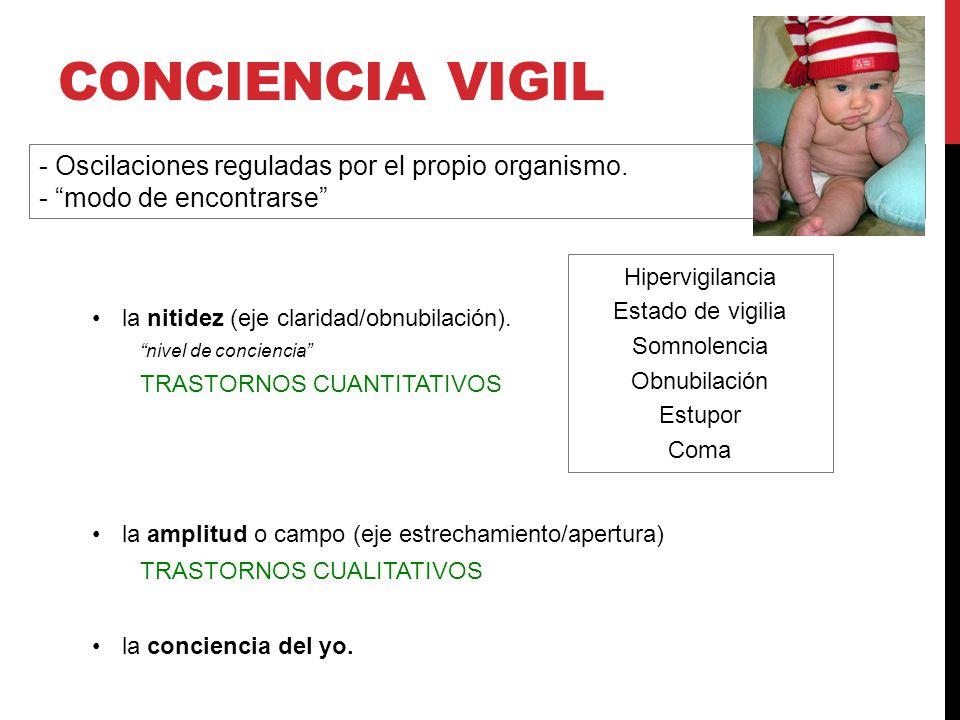 CONCIENCIA VIGIL - Oscilaciones reguladas por el propio organismo.