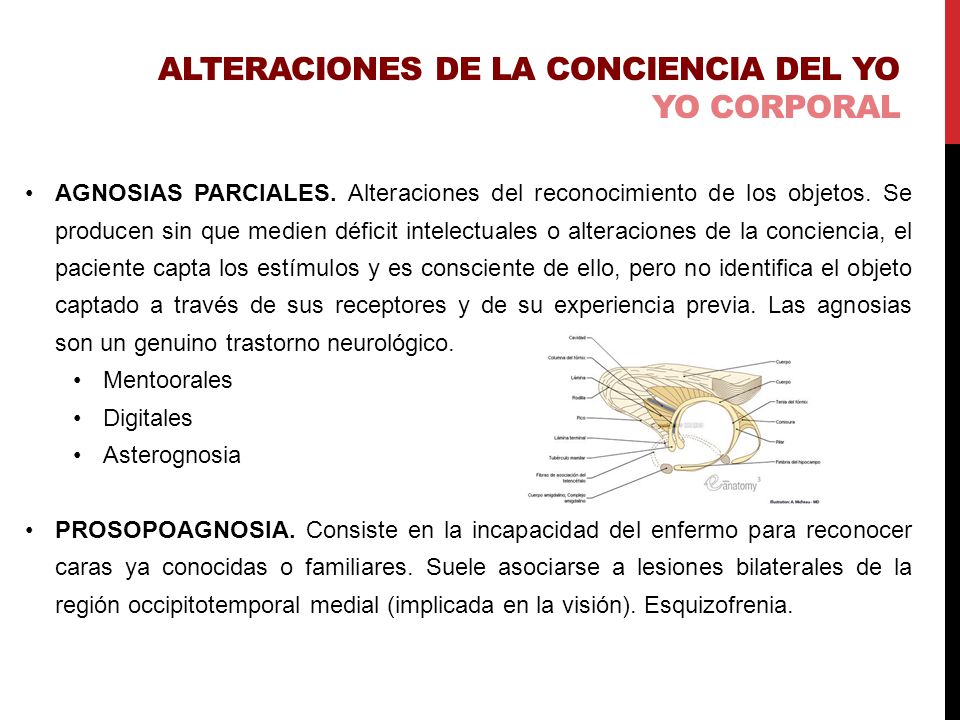Alteraciones de la CONCIENCIA DEL YO YO CORPORAL