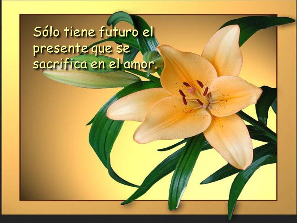 Sólo tiene futuro el presente que se sacrifica en el amor.