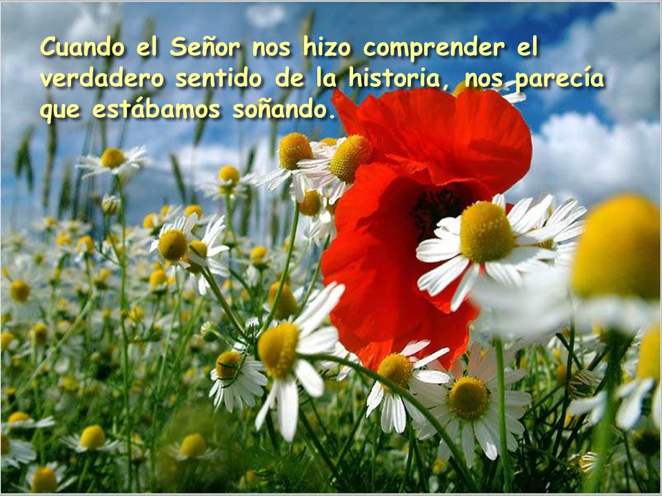 Cuando el Señor nos hizo comprender el verdadero sentido de la historia, nos parecía que estábamos soñando.