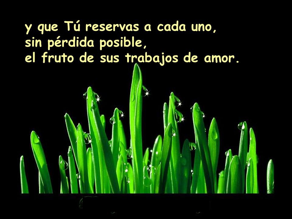 y que Tú reservas a cada uno, sin pérdida posible, el fruto de sus trabajos de amor.