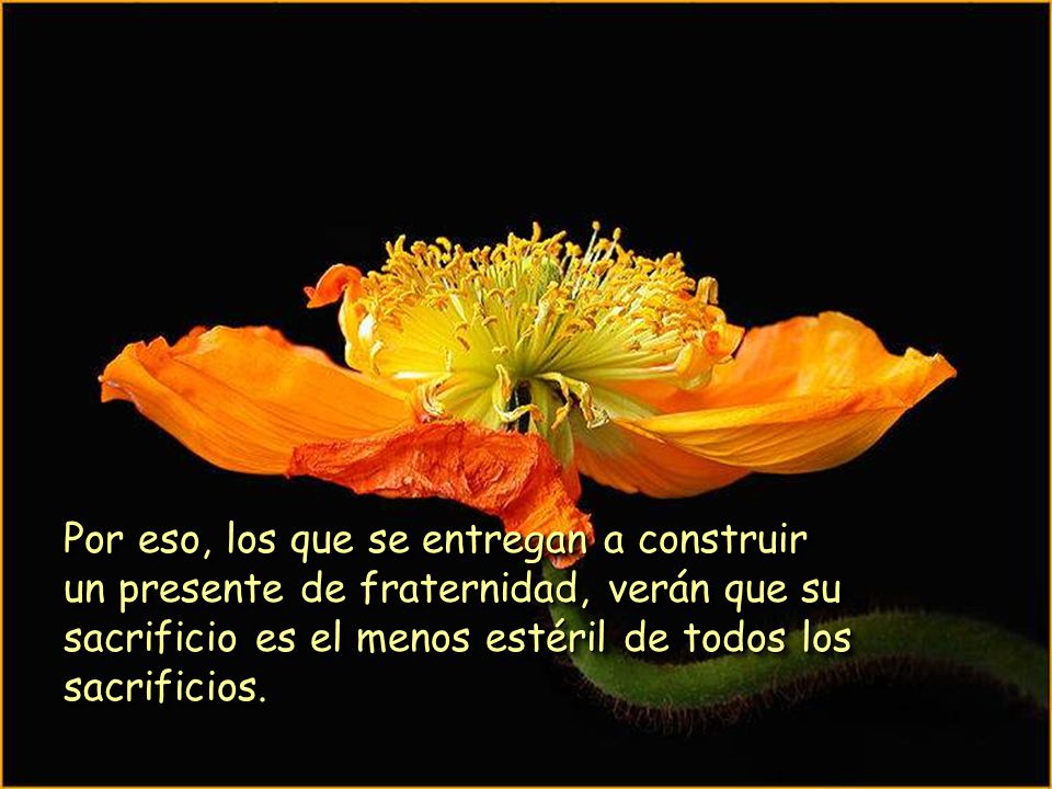 Por eso, los que se entregan a construir un presente de fraternidad, verán que su sacrificio es el menos estéril de todos los sacrificios.