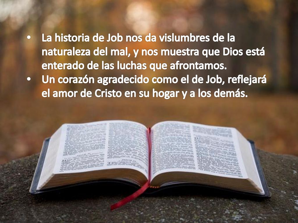 La historia de Job nos da vislumbres de la naturaleza del mal, y nos muestra que Dios está enterado de las luchas que afrontamos.
