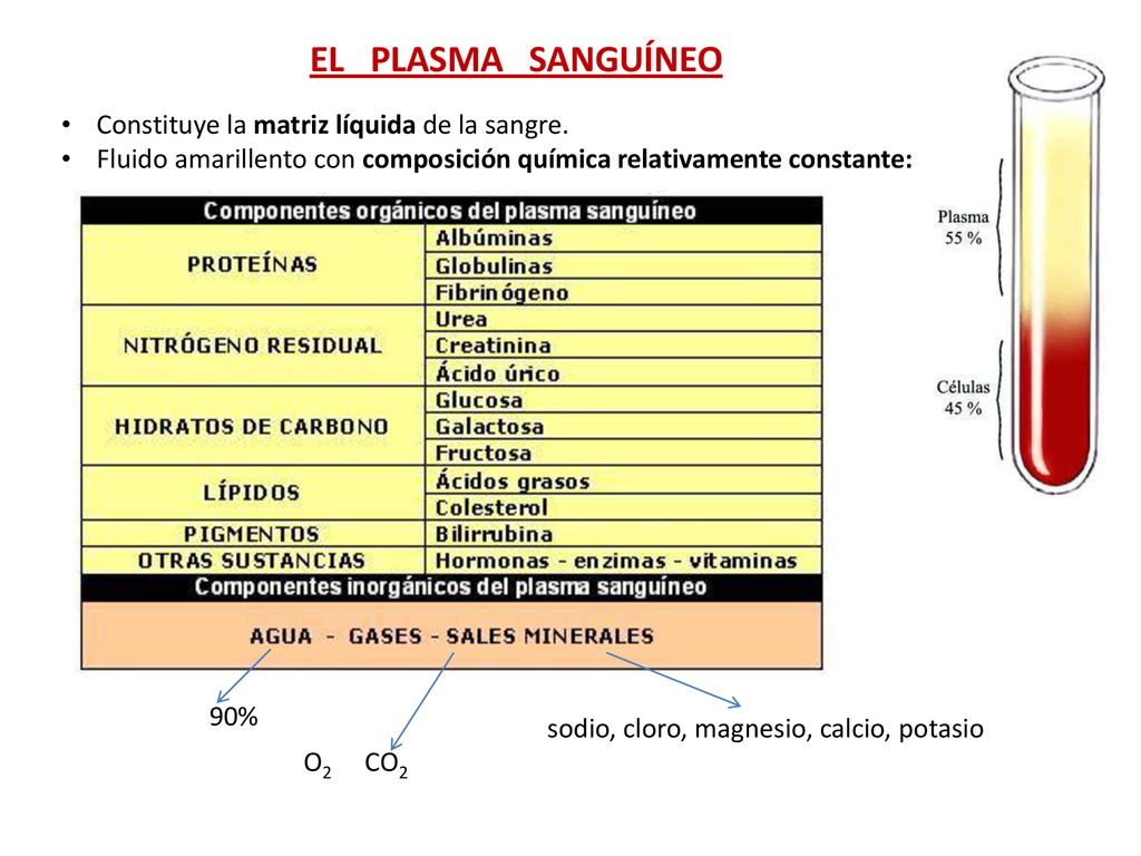 EL PLASMA SANGUÍNEO Constituye la matriz líquida de la sangre.