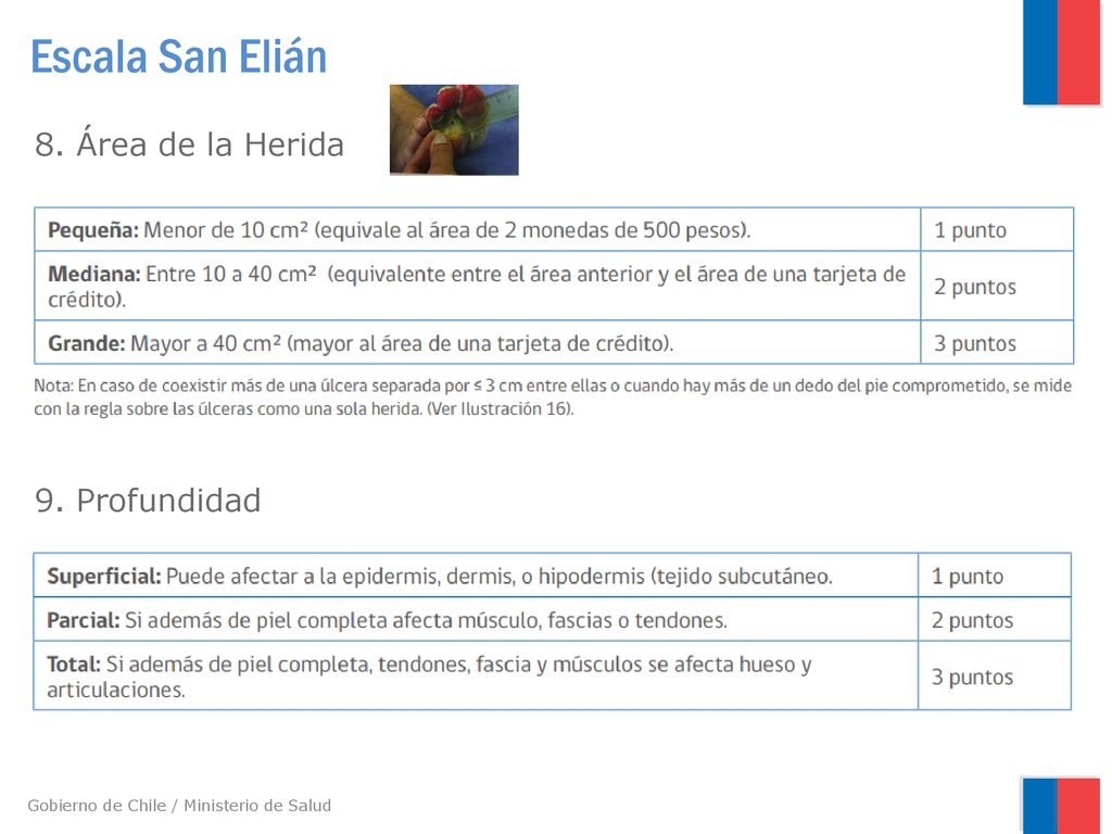 Escala San Elián 8. Área de la Herida 9. Profundidad