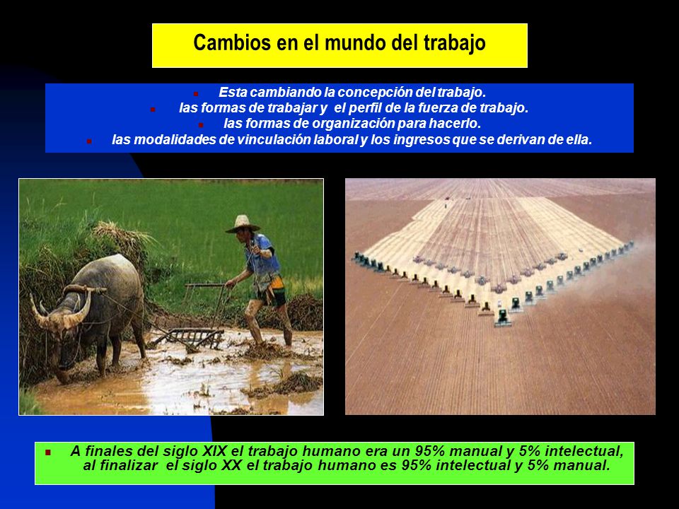 Cambios en el mundo del trabajo