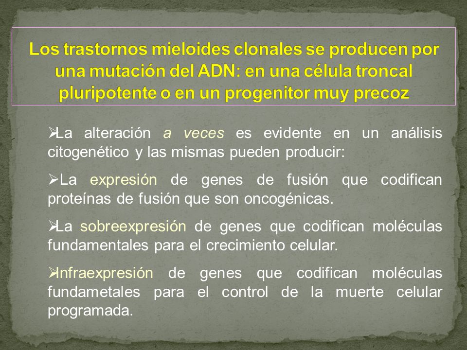 Los trastornos mieloides clonales se producen por una mutación del ADN: en una célula troncal pluripotente o en un progenitor muy precoz