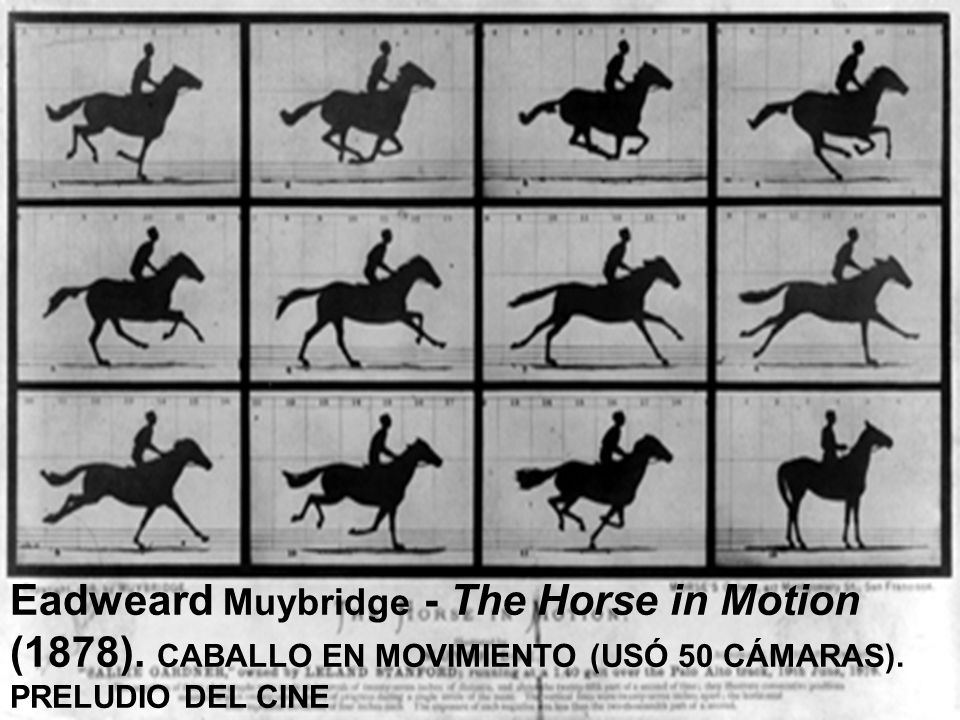 Eadweard Muybridge - The Horse in Motion (1878)