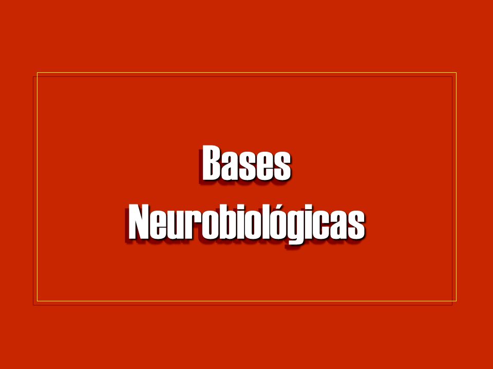 Bases Neurobiológicas
