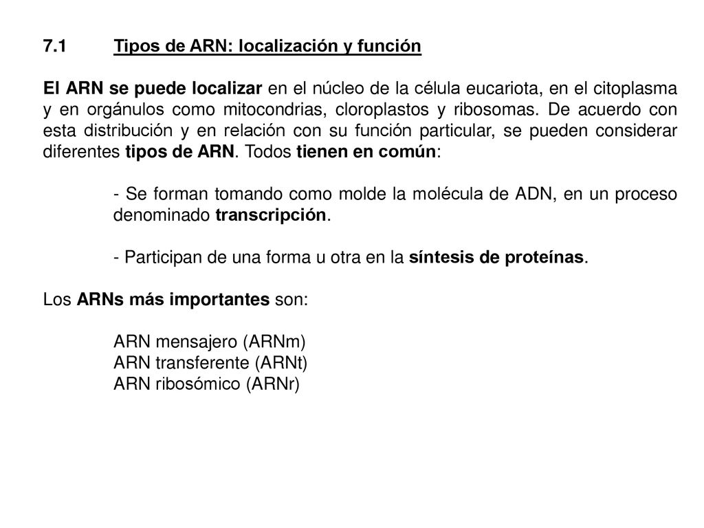 7.1 Tipos de ARN: localización y función