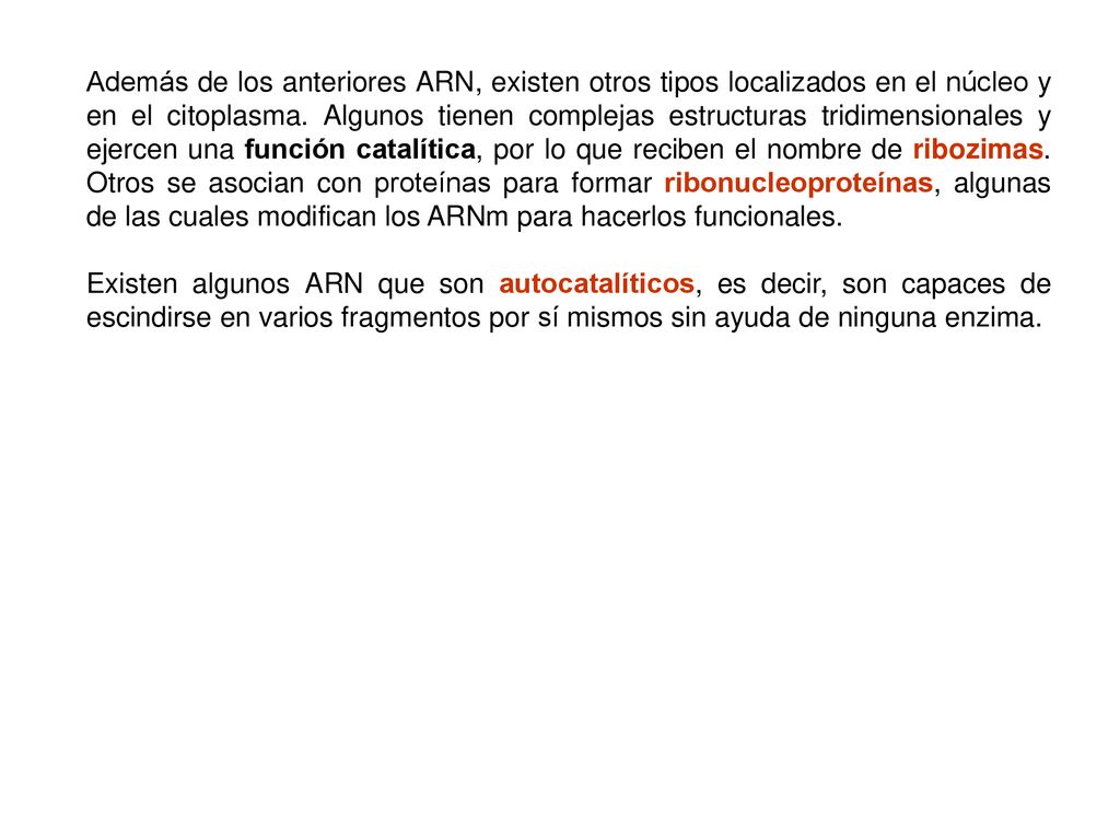 Además de los anteriores ARN, existen otros tipos localizados en el núcleo y en el citoplasma. Algunos tienen complejas estructuras tridimensionales y ejercen una función catalítica, por lo que reciben el nombre de ribozimas. Otros se asocian con proteínas para formar ribonucleoproteínas, algunas de las cuales modifican los ARNm para hacerlos funcionales.