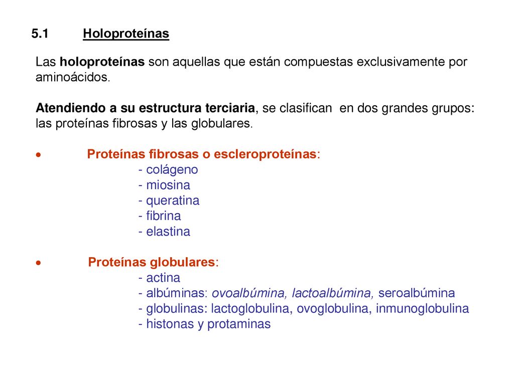 5.1 Holoproteínas Las holoproteínas son aquellas que están compuestas exclusivamente por aminoácidos.