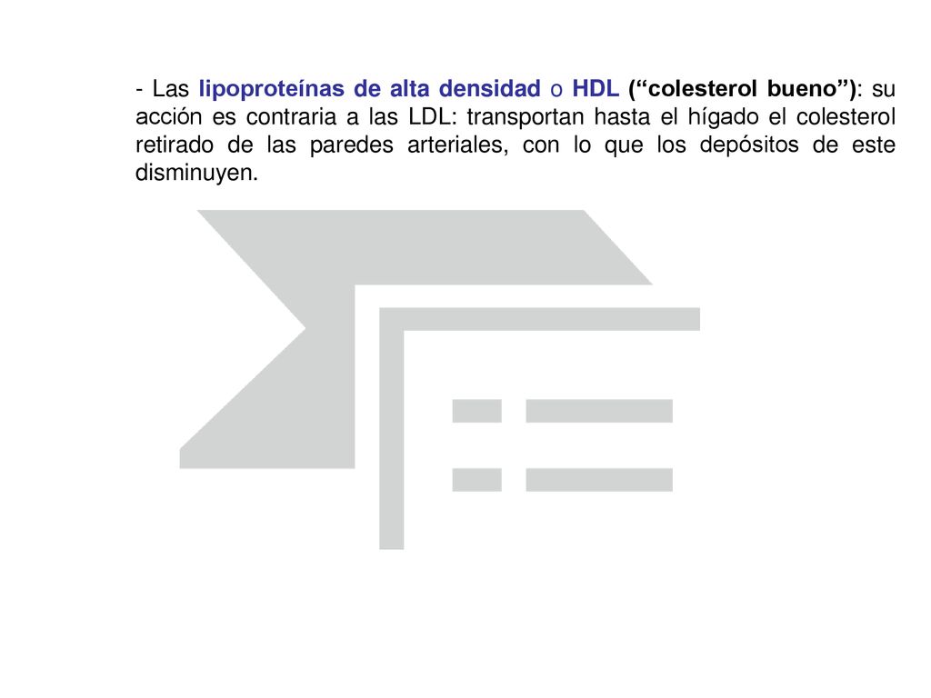 - Las lipoproteínas de alta densidad o HDL ( colesterol bueno ): su