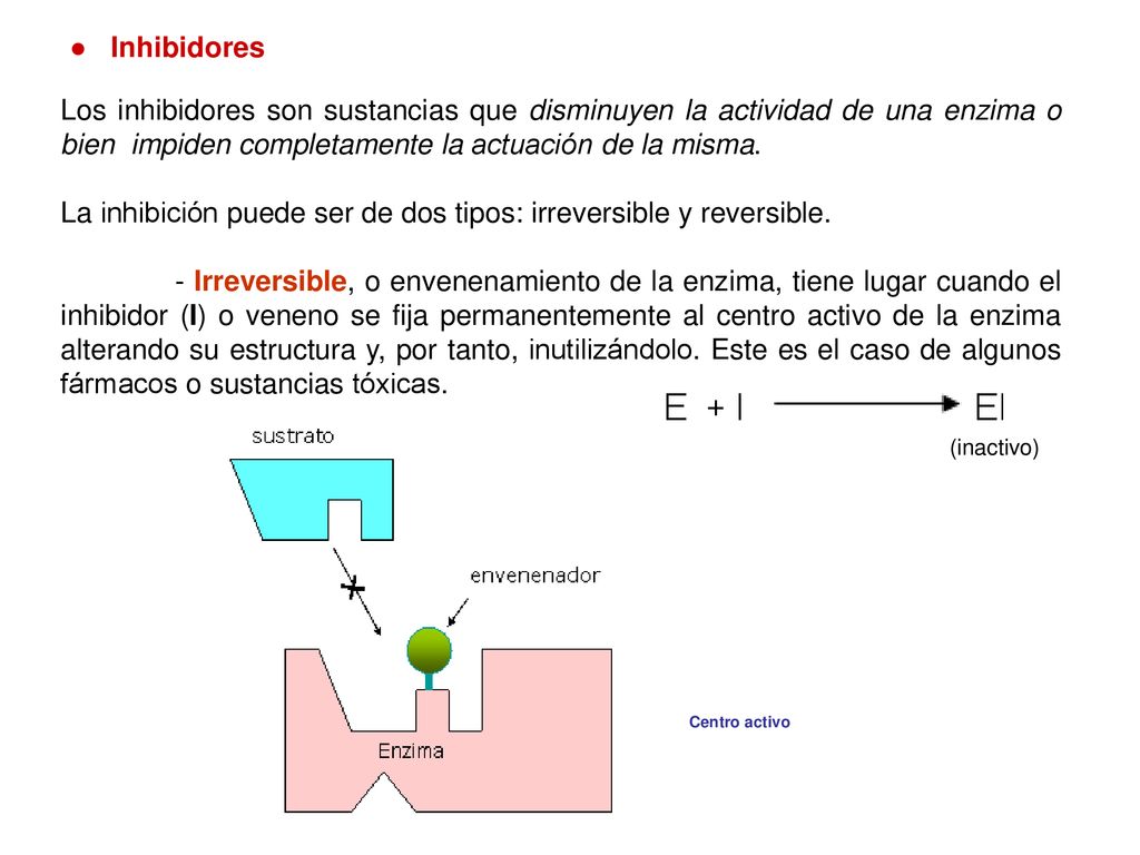 La inhibición puede ser de dos tipos: irreversible y reversible.