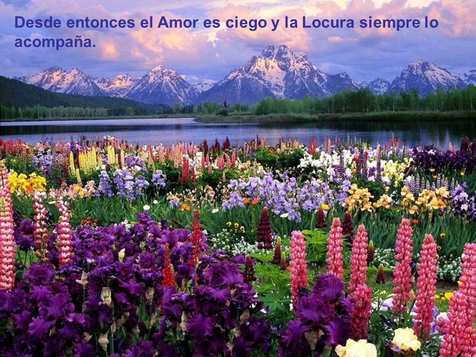 Desde entonces el Amor es ciego y la Locura siempre lo acompaña.