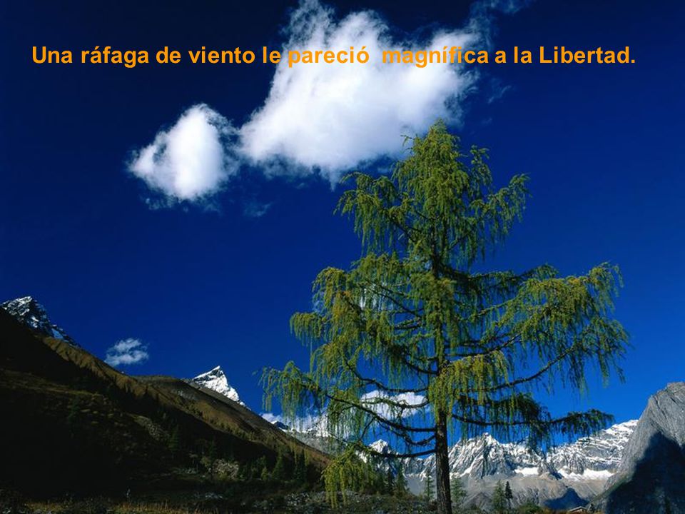 Una ráfaga de viento le pareció magnífica a la Libertad.